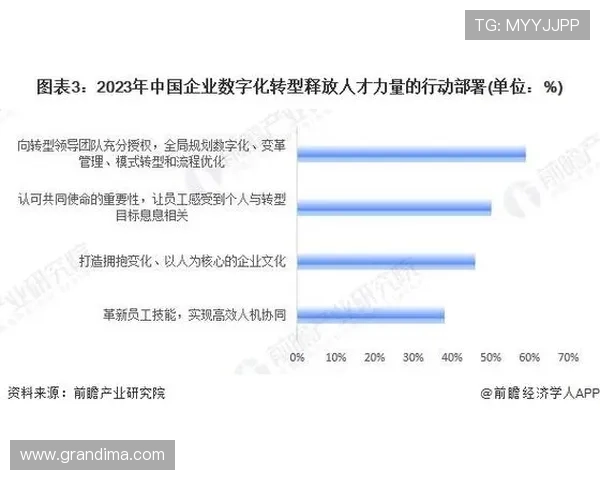 亚傅体育集团推动体育产业数字化转型的具体措施与实现路径分析