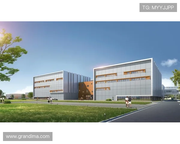 海星体育登录界面设计人性化提升用户操作体验感