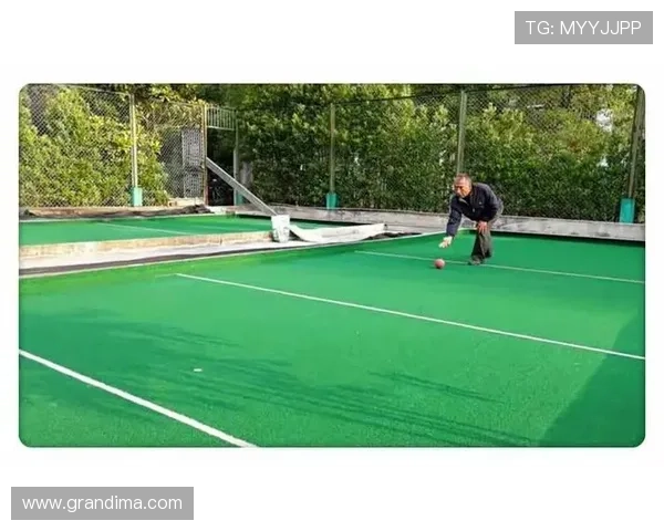 玩球平台有哪些支持多种体育项目和便捷操作的综合性游戏平台推荐