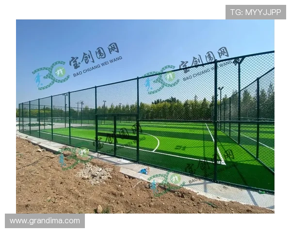 优质球场体育场围网厂家，打造符合国际标准的运动场安全围网解决方案