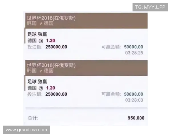买球的app官网：世界杯期间投注安全指南及官方APP推荐，保障您的资金安全